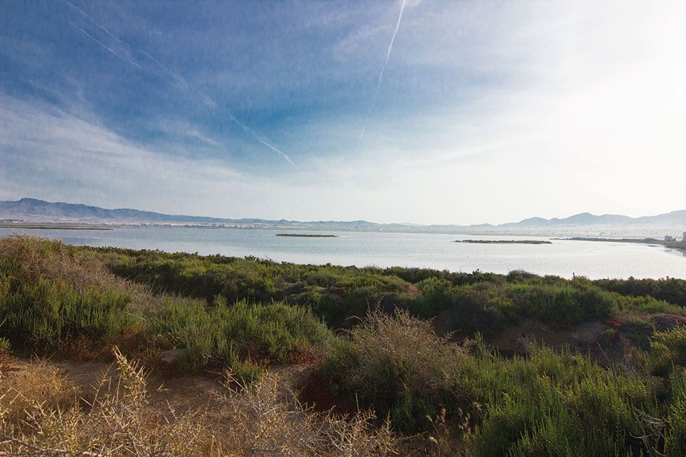 Una imagen de Observatorios de Las Salinas
