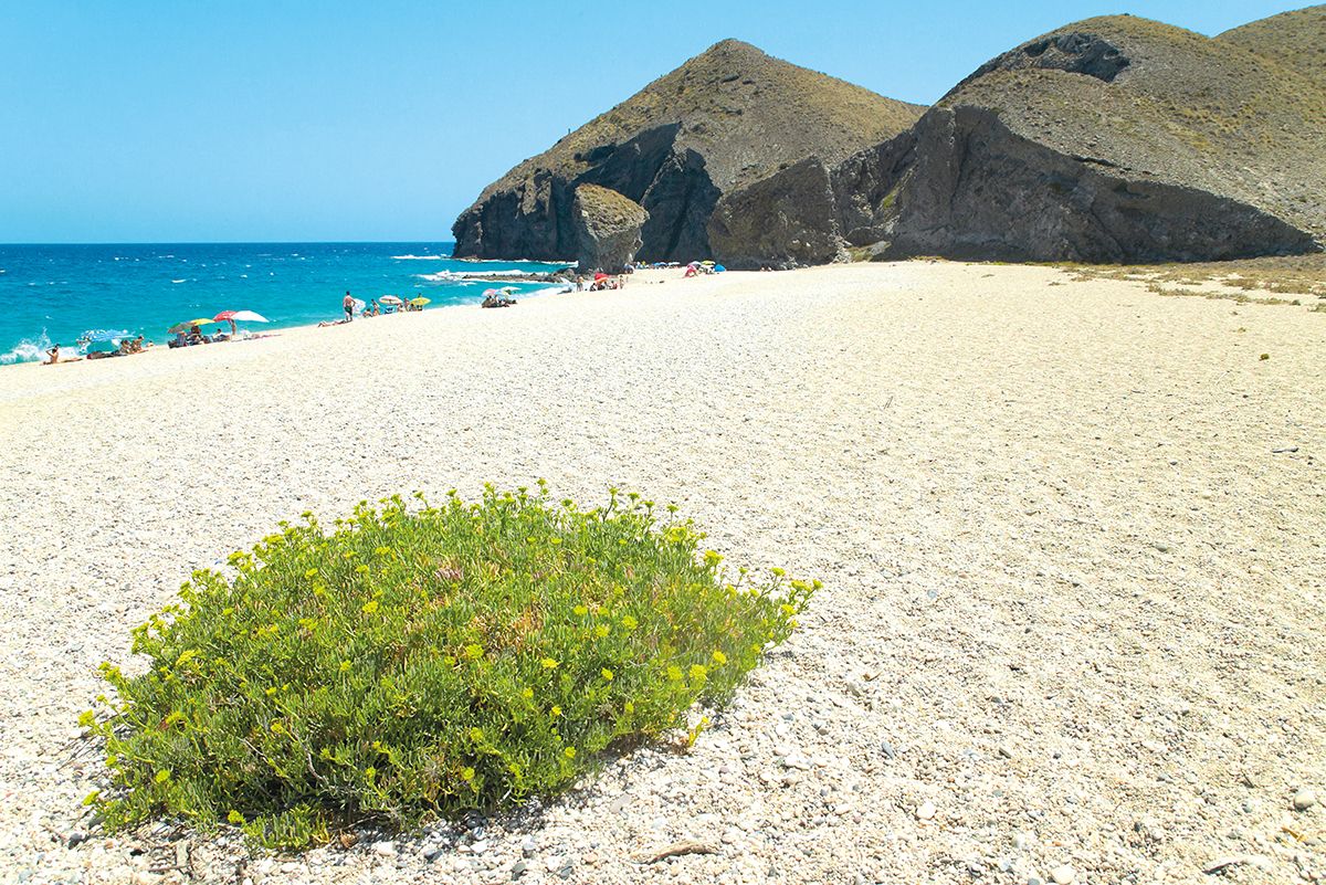 Una imagen de Playa de los Muertos