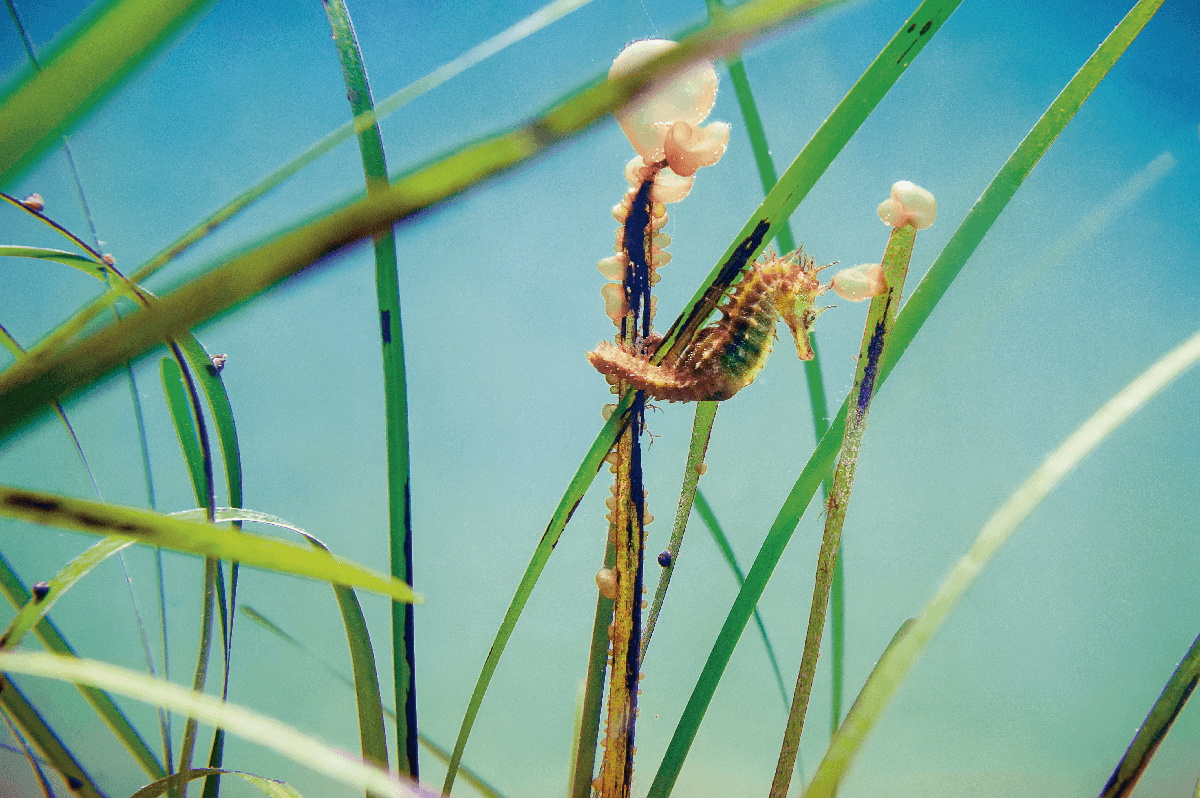 AdobeStock_264550732.png