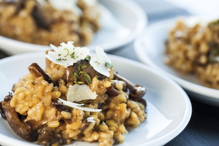 arroz_guia_del_parque-768x512.jpg