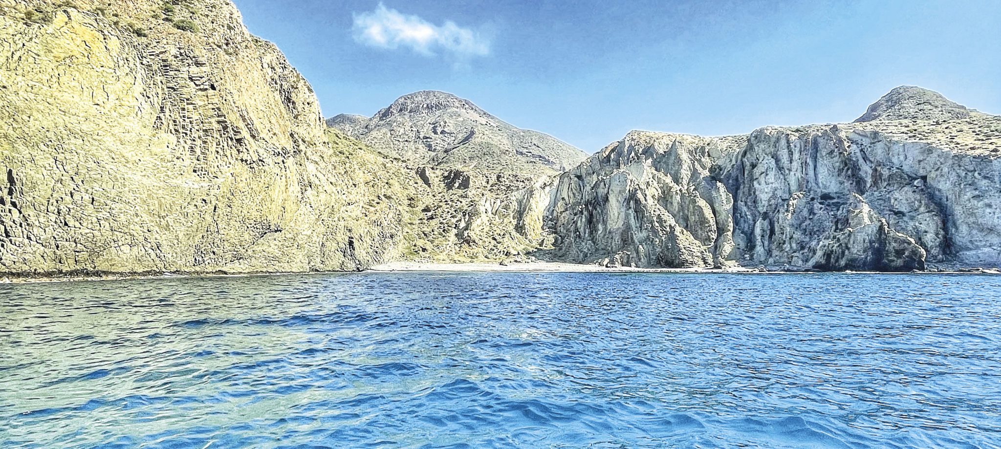 cala-tomate-2048x919.jpg