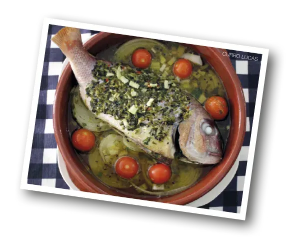 cuajadera_pescado_resultado.webp